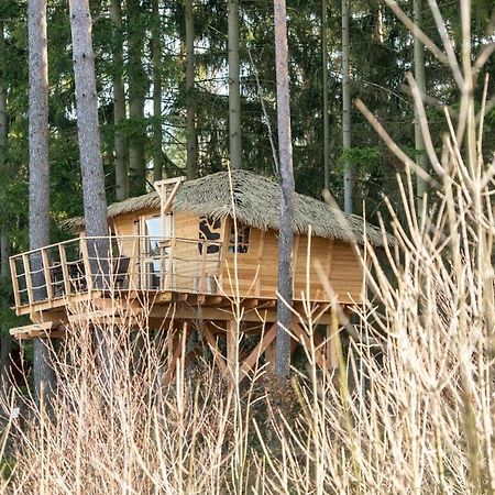 Готель Treehouse U Rybnika Osecna Екстер'єр фото