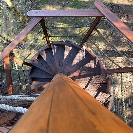 Готель Treehouse U Rybnika Osecna Екстер'єр фото