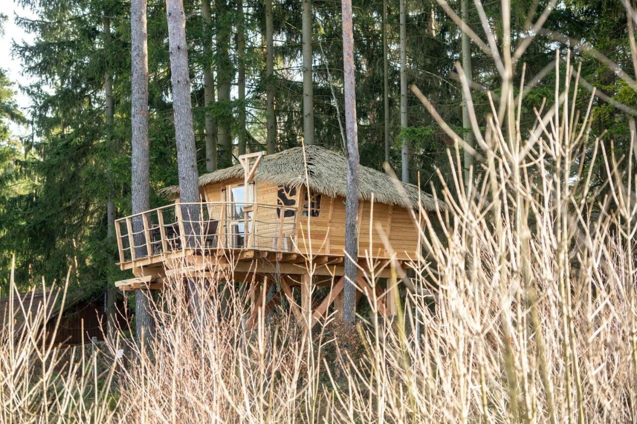 Готель Treehouse U Rybnika Osecna Екстер'єр фото